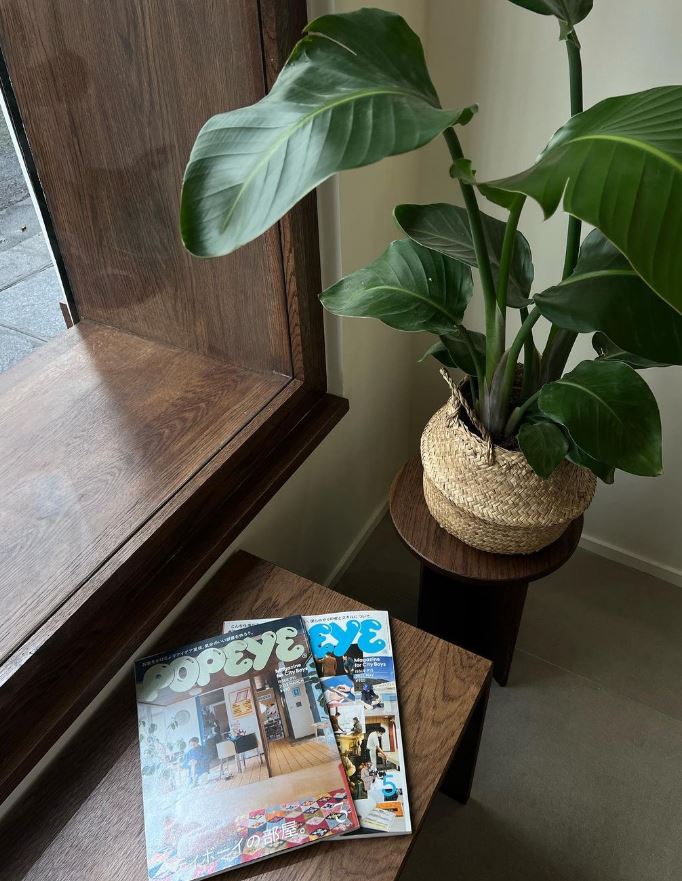 Coin assise avec table basse en bois et plante dans coffee shop minimaliste